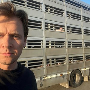 DRs nye dokumentar udstiller behovet for kortere dyretransporter